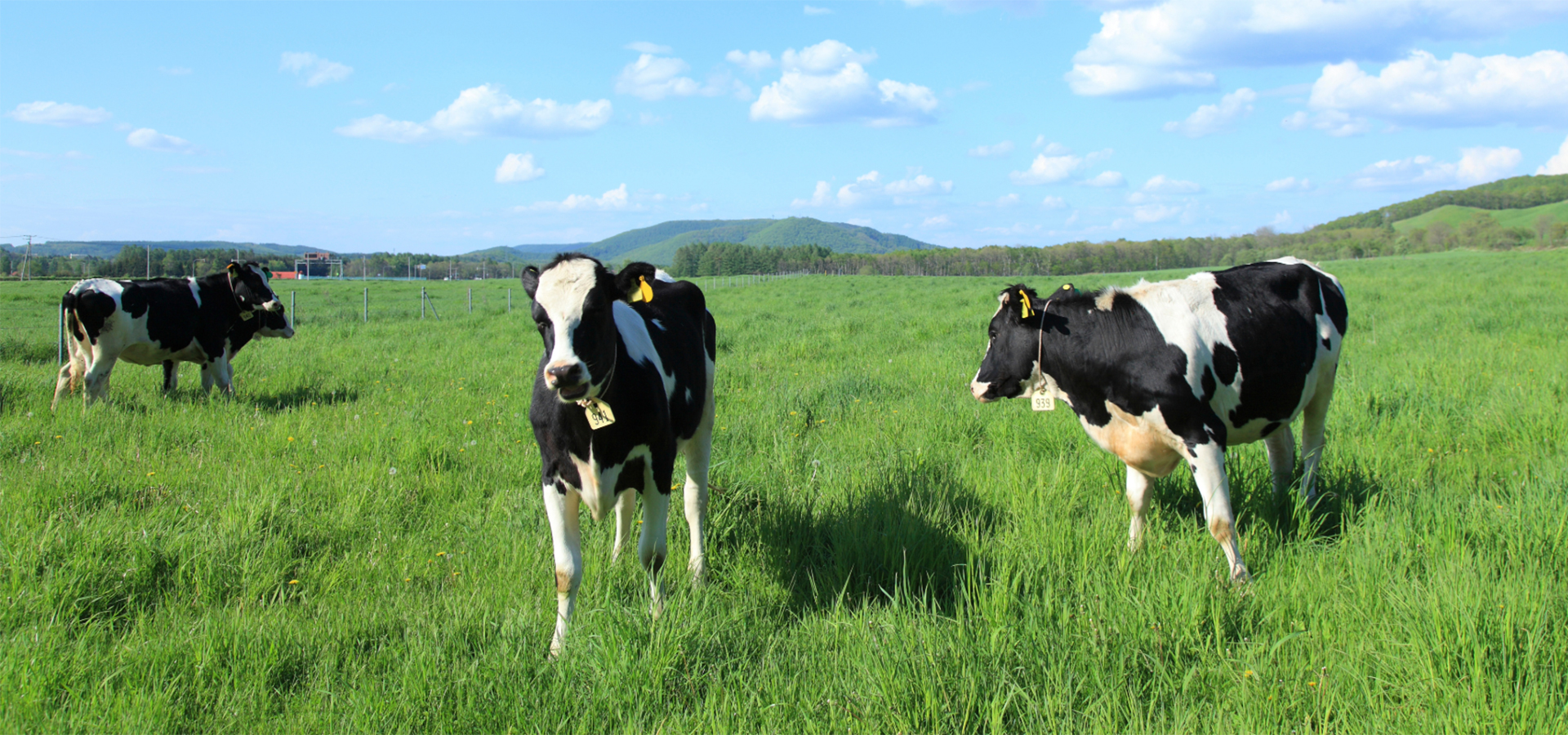 育てる。届ける。味わう。
吉川の“つながる食”